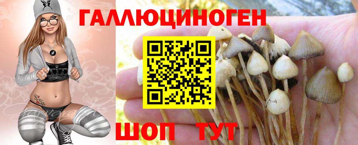 Ливны  Галлюциногенные грибы Magic Shrooms  Вход с VPN 